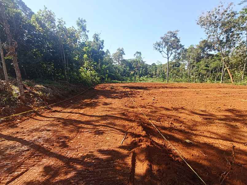 tanah dijual murah di gunungpati kota semarang