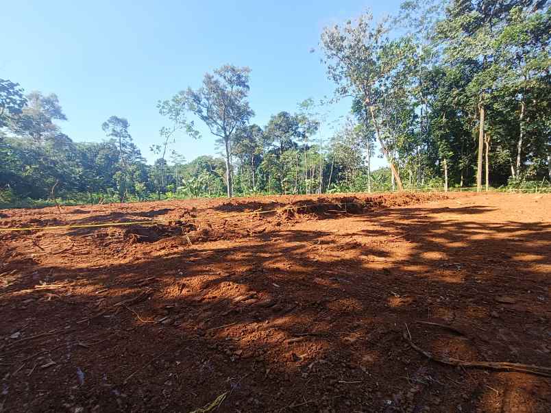 tanah dijual murah di gunungpati kota semarang