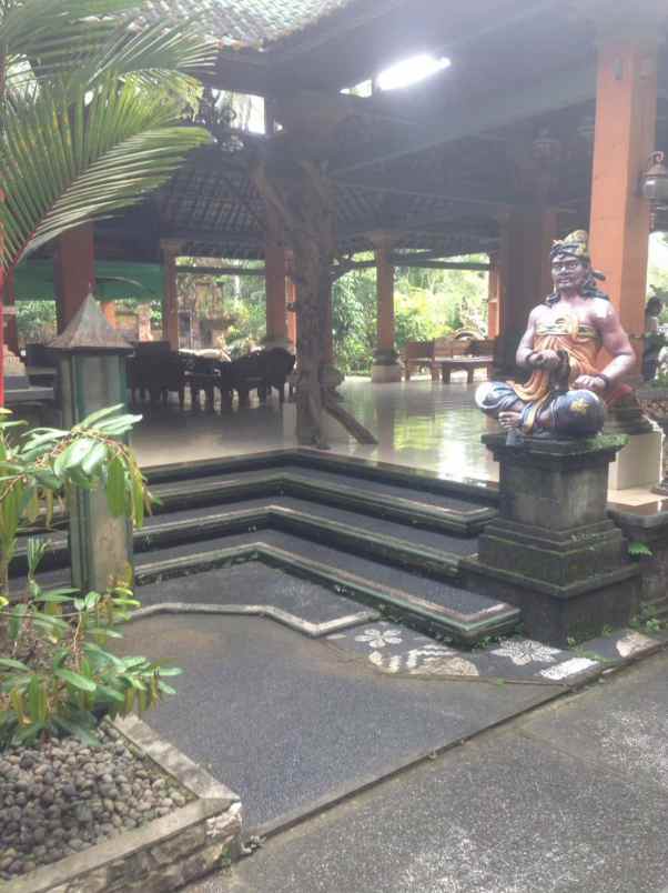 tanah gratis rumah view jungle di keliki ubud bali