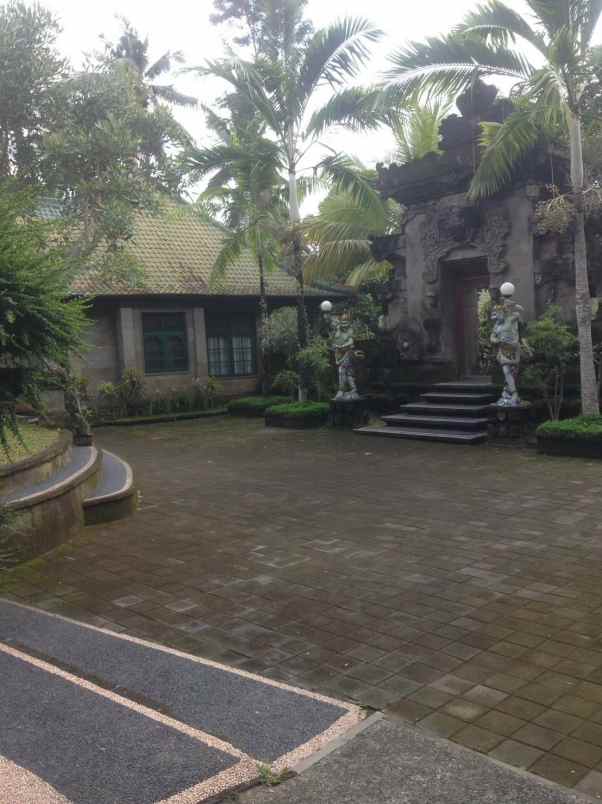 tanah gratis rumah view jungle di keliki ubud bali