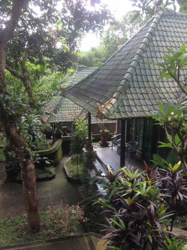 tanah gratis rumah view jungle di keliki ubud bali