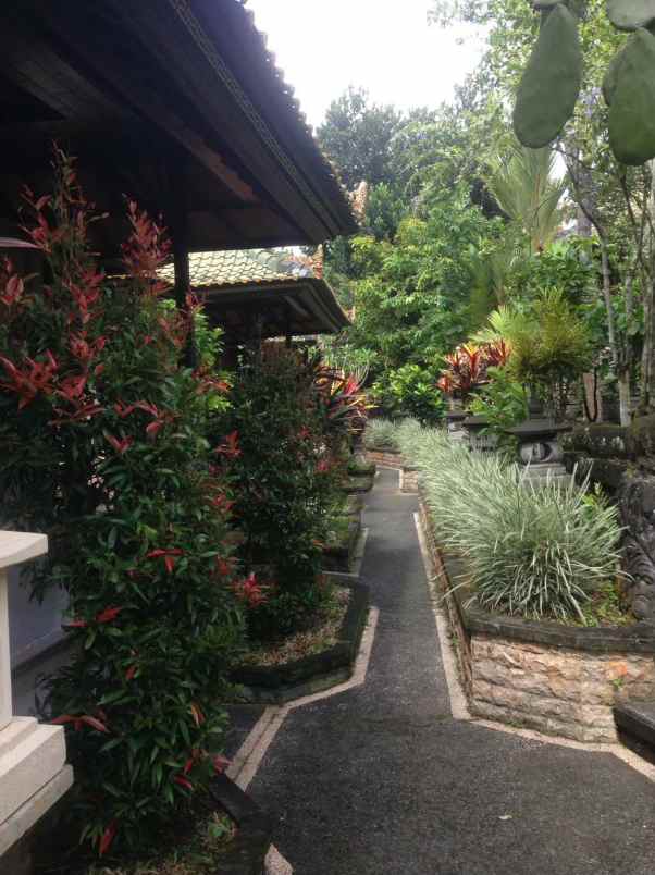 tanah gratis rumah view jungle di keliki ubud bali