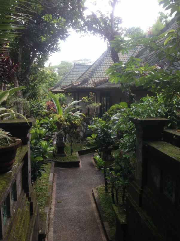 tanah gratis rumah view jungle di keliki ubud bali