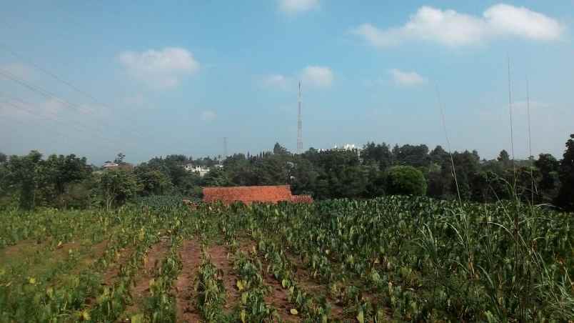 tanah gunung geulis golf