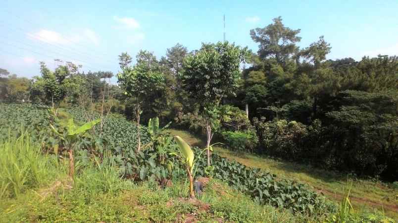 tanah gunung geulis golf