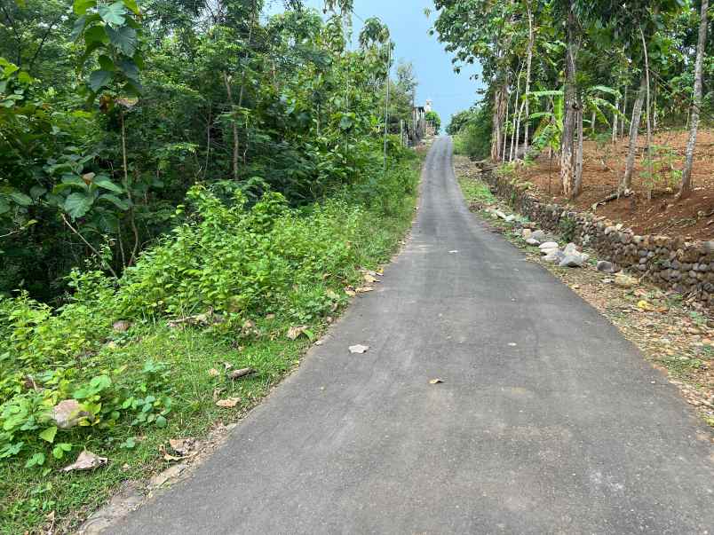 tanah hook 1175m siap bangun sambirejo sragen