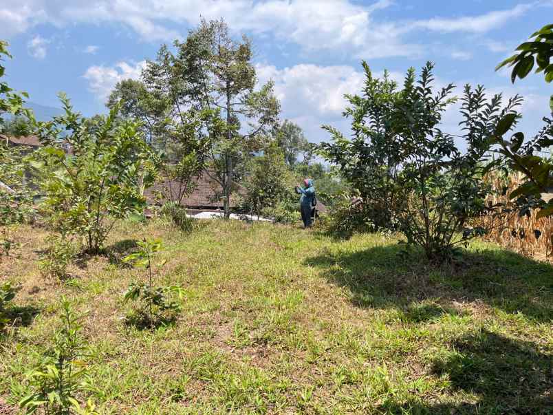 tanah investasi strategis 300m2 kemuning karanganyar