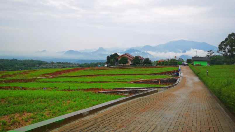 tanah jalan transyogi