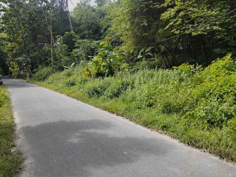 tanah jl bibis mancasan belakang