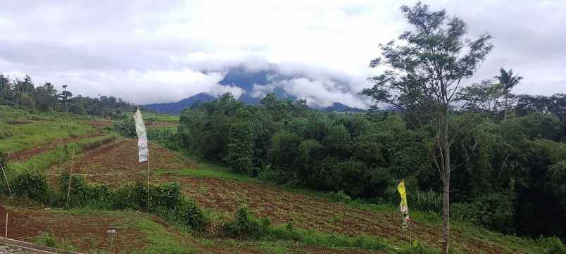 tanah kavling villa puncak bogor