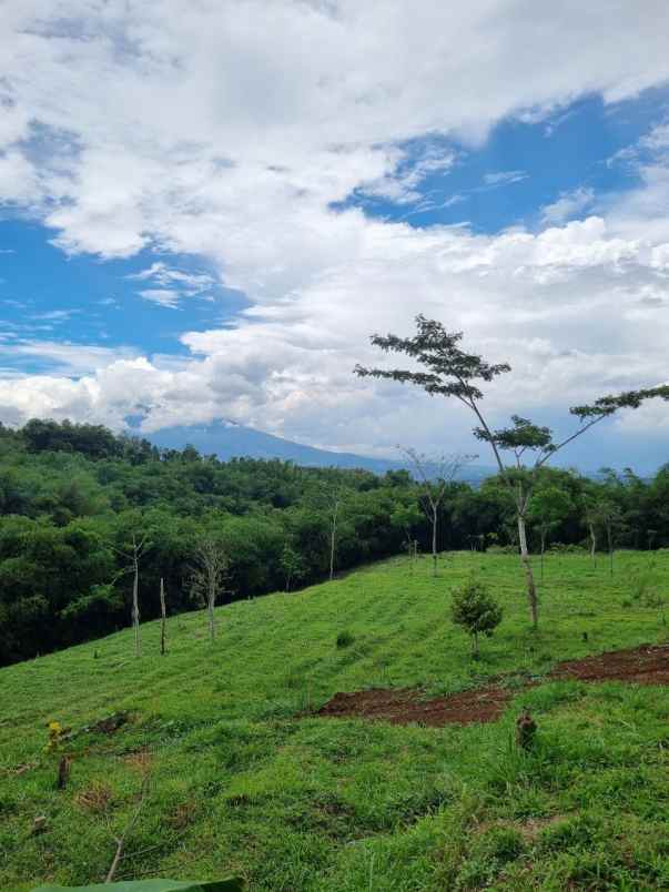 tanah kavling villa puncak bogor