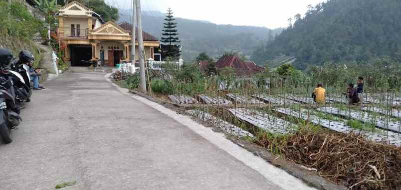 tanah kawasan wisata alam