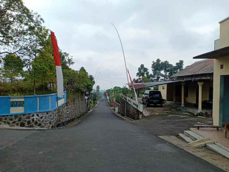 tanah kemuning ngargoyoso