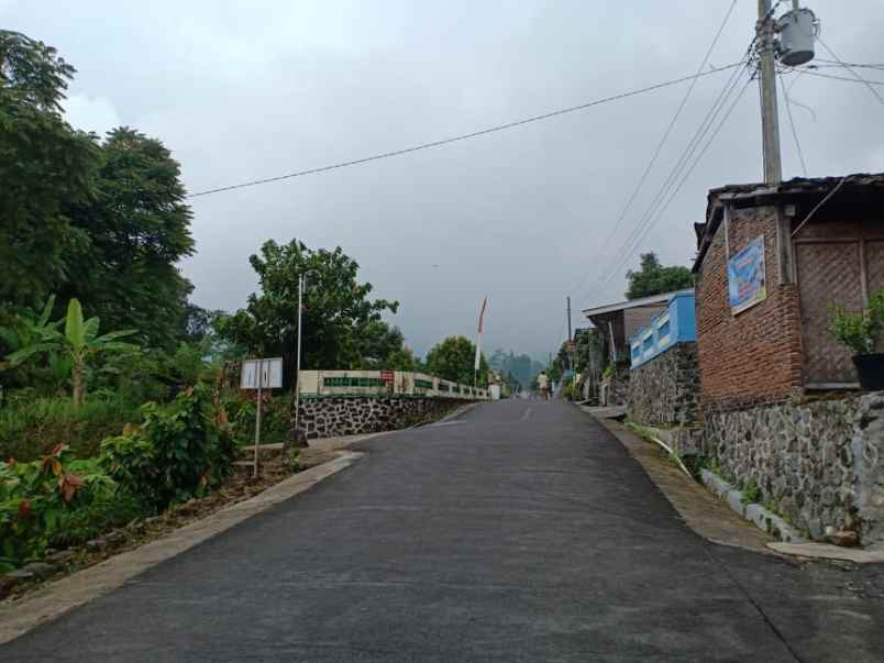 tanah kemuning ngargoyoso