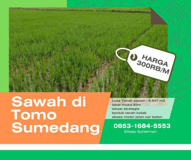 tanah sawah dan kebun produktif di tomo sumedang