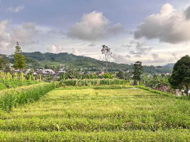 tanah view tanpa terhalang 852m karangpandan