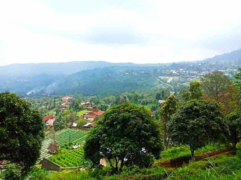 tanah view terbaik kemuning karanganyar
