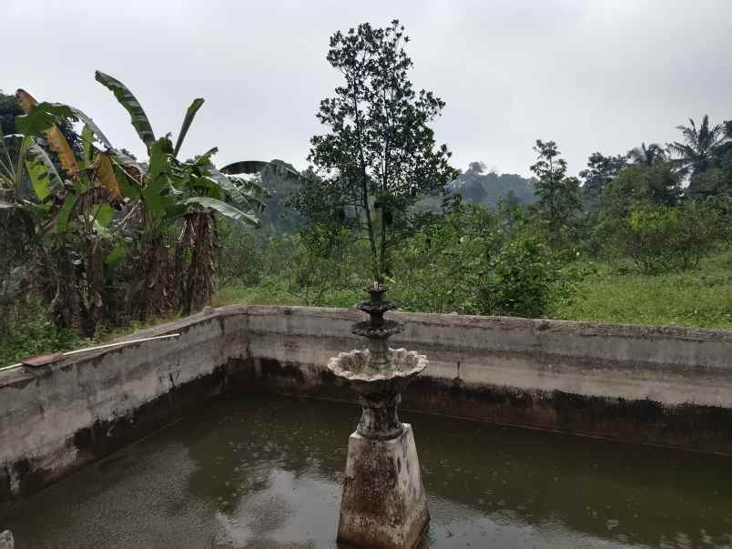 vila sawah kebun lahan subur produktif subang