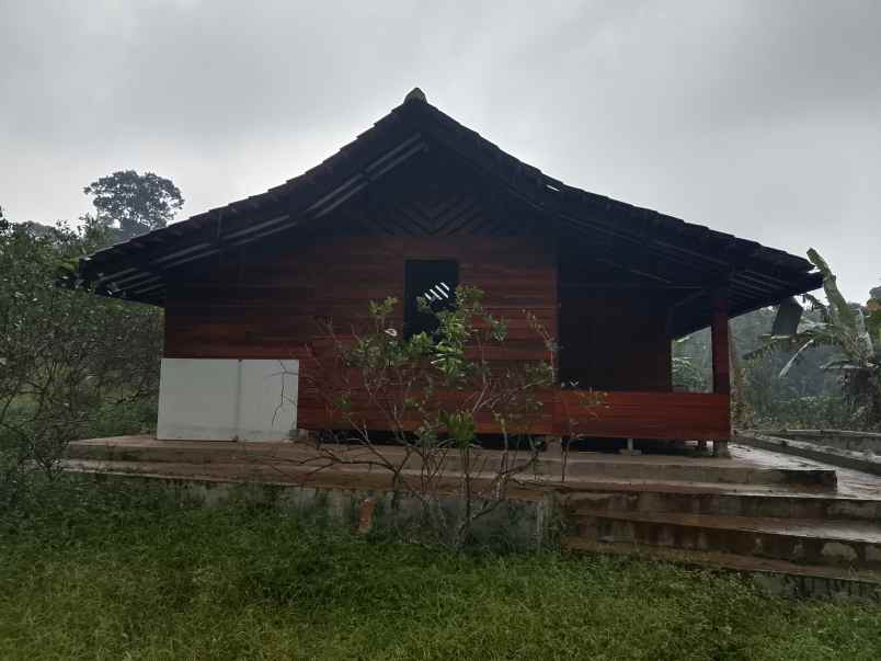 vila sawah kebun lahan subur produktif subang