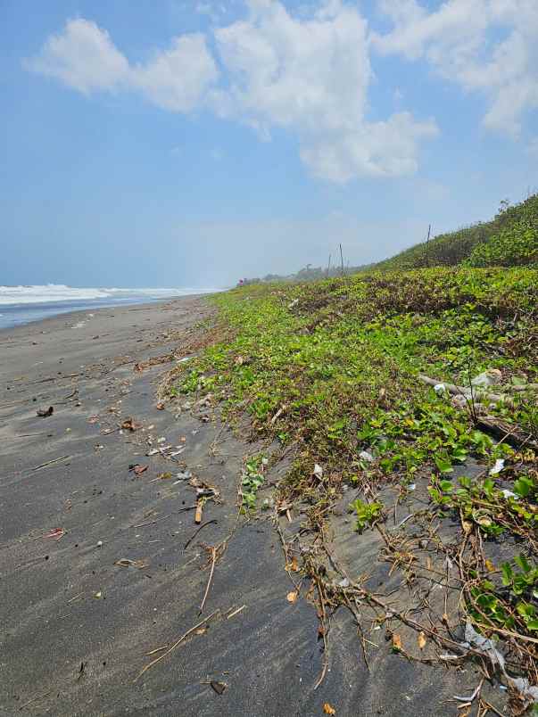 beach front land di pantai yeh gangga tabanan bali