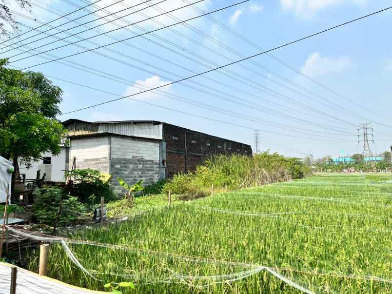 dijual cepat gudang hitung tanah di bangkingan srabaya