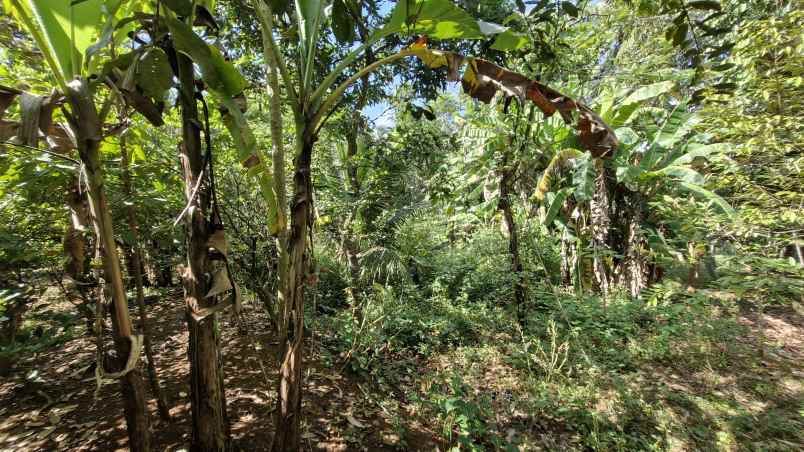 dijual cepat rumah pribadi