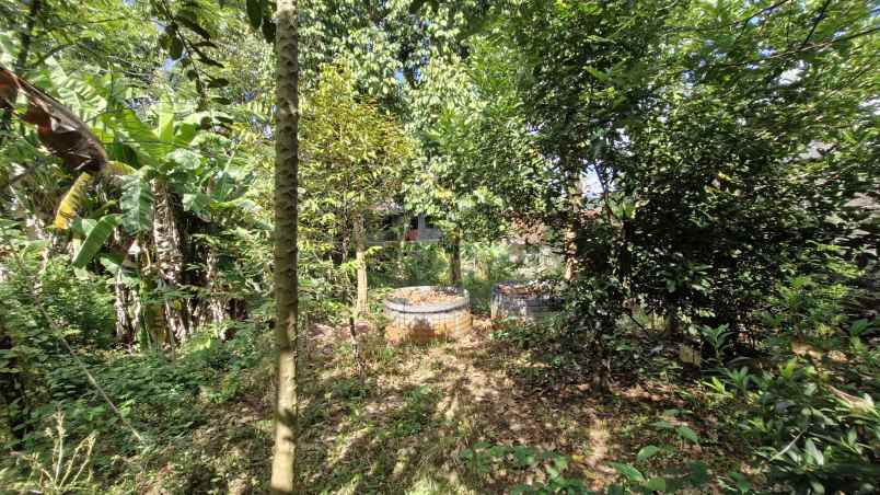 dijual cepat rumah pribadi