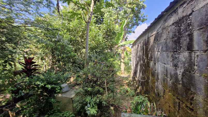 dijual cepat rumah pribadi
