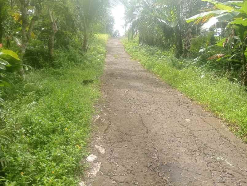dijual lahan tegalan kontur melandai los sungai