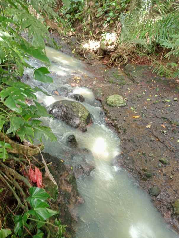 dijual lahan tegalan kontur melandai los sungai