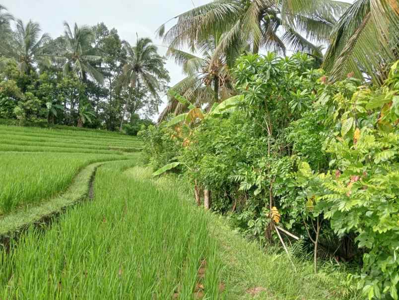 dijual lahan tegalan kontur melandai los sungai