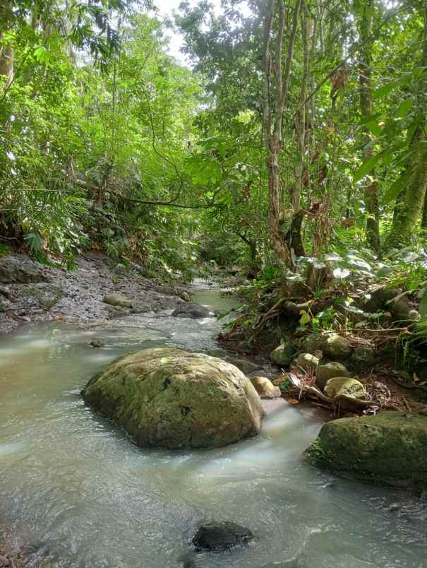 dijual lahan tegalan kontur melandai los sungai