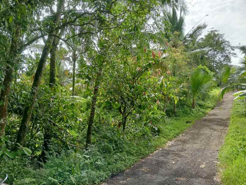dijual lahan tegalan kontur melandai los sungai