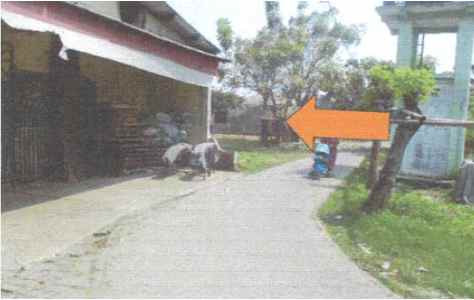 dijual tanah 9 730m2 di kampung besar teluk naga