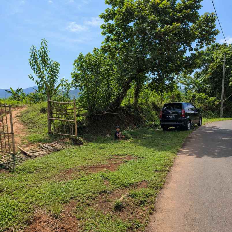 dijual tanah agrowisata cibuleger lebak banten