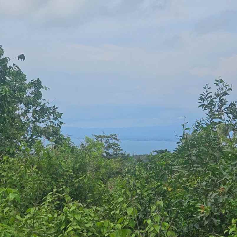 dijual tanah balangan