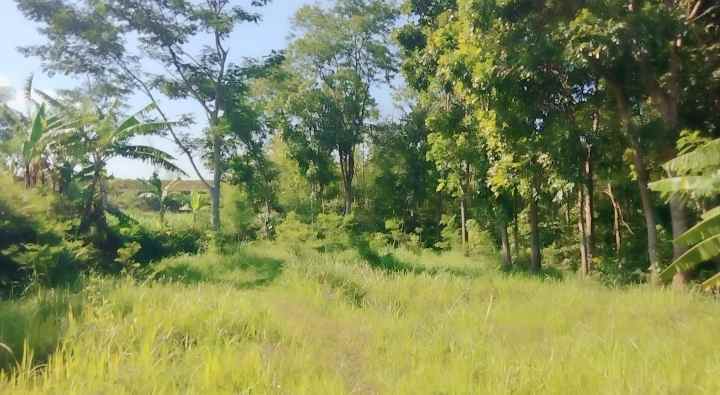 dijual tanah buat invest di cilimus kuningan