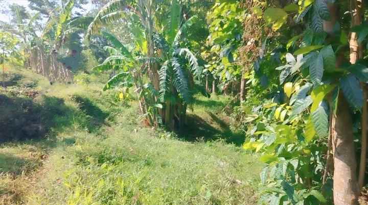 dijual tanah buat invest di cilimus kuningan