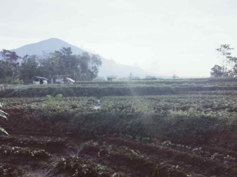 dijual tanah buat invest di cilimus kuningan