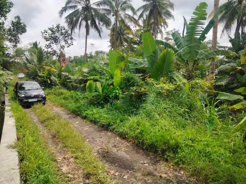 dijual tanah cepet purwobinangun pakem