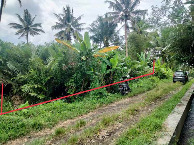 dijual tanah cepet purwobinangun pakem