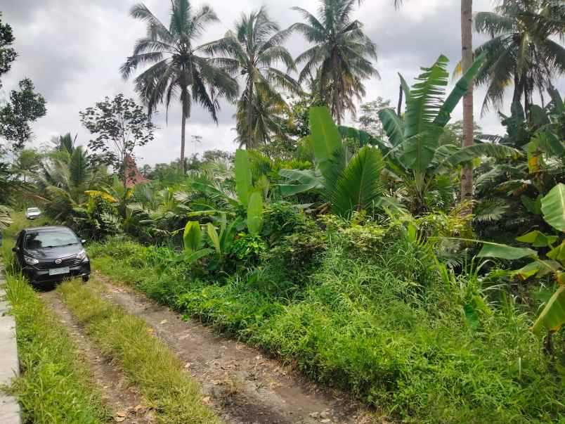 dijual tanah cepet purwobinangun pakem