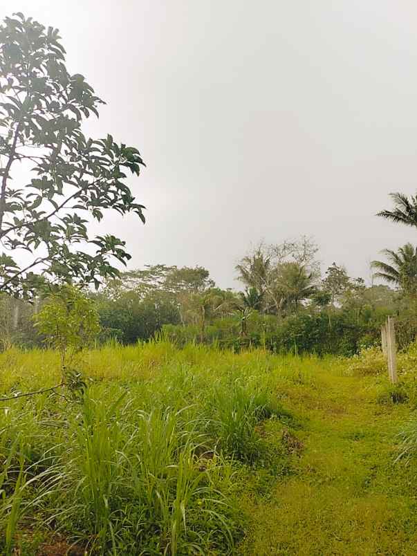 dijual tanah darat lokasi strategis pinggir jalan