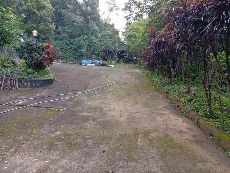 dijual tanah deket sumarecon bogor