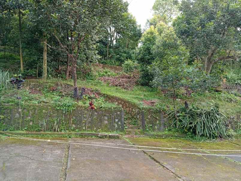 dijual tanah deket sumarecon bogor