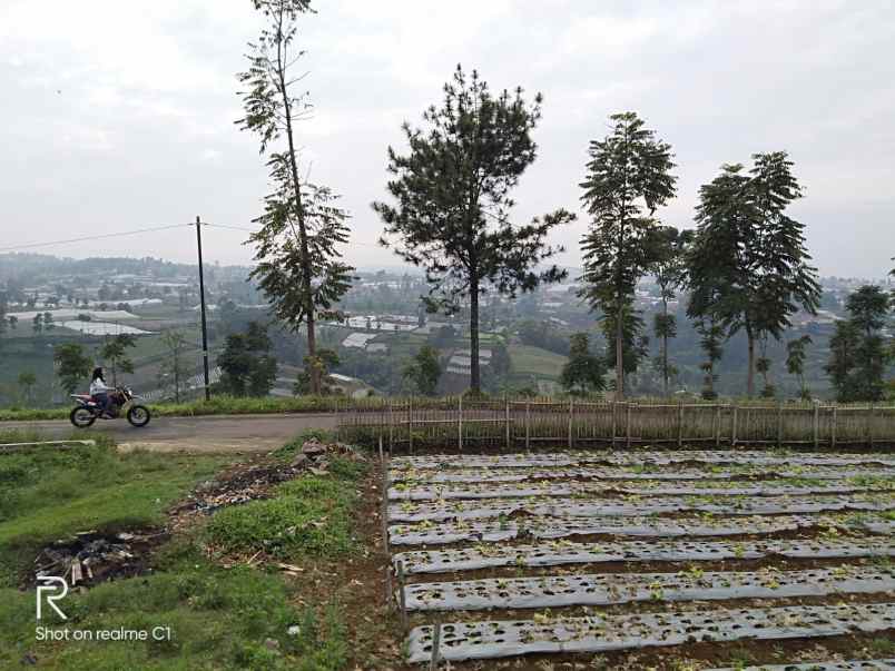 dijual tanah desa cipada 2 kecamatan