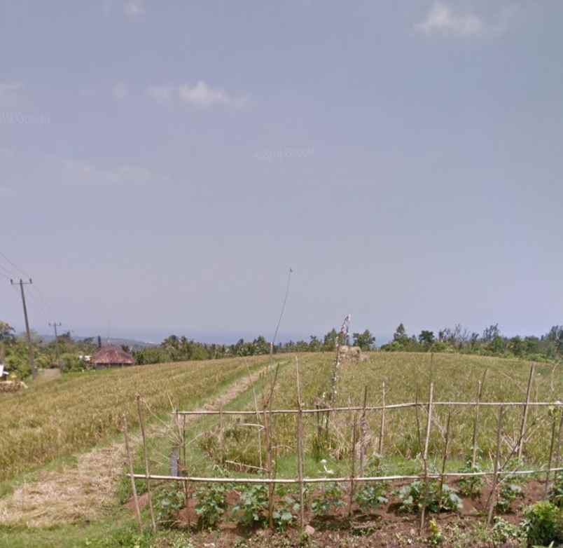 dijual tanah ds lumbung kec selemadeg