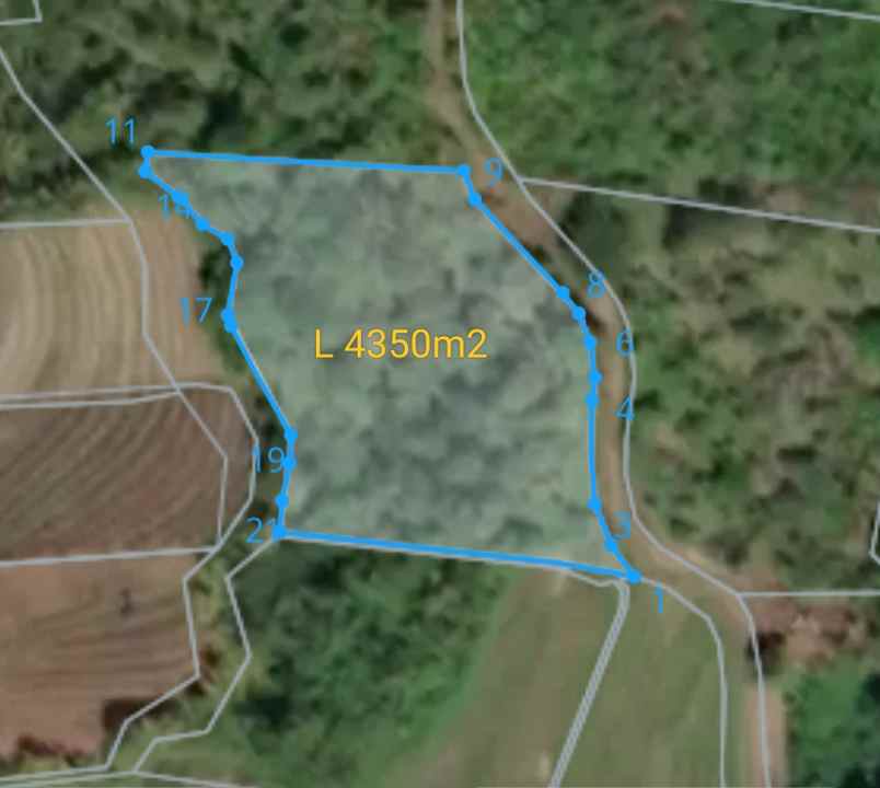 dijual tanah ds lumbung kec selemadeg