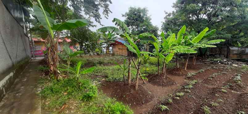 dijual tanah gandasari