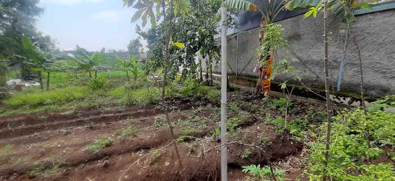 dijual tanah gandasari